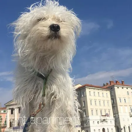 Seafront Ai Fari Piran